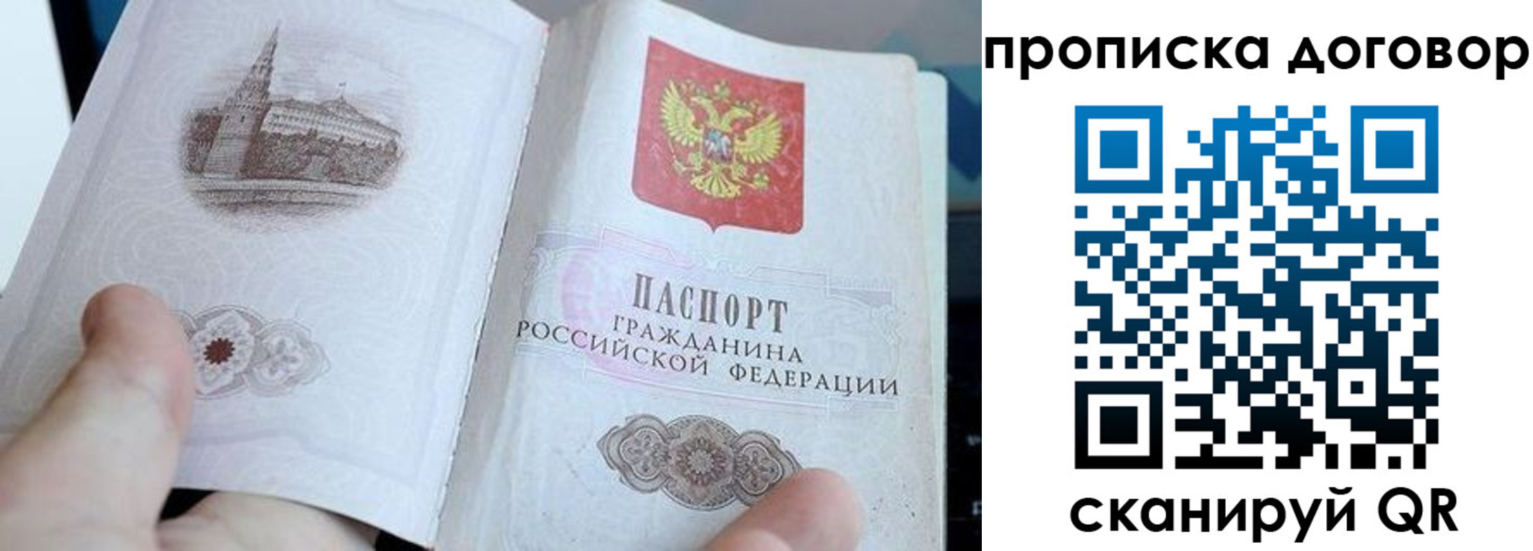 прописка законно в Королёве